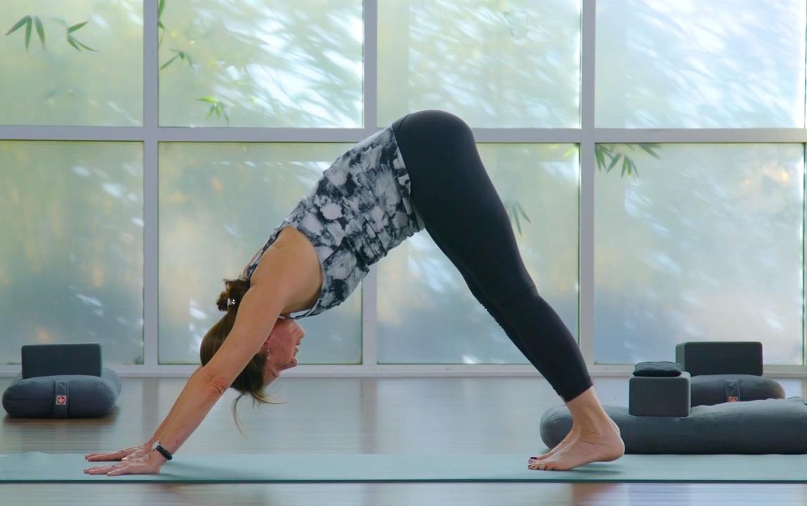 Beginner: Standing Poses
