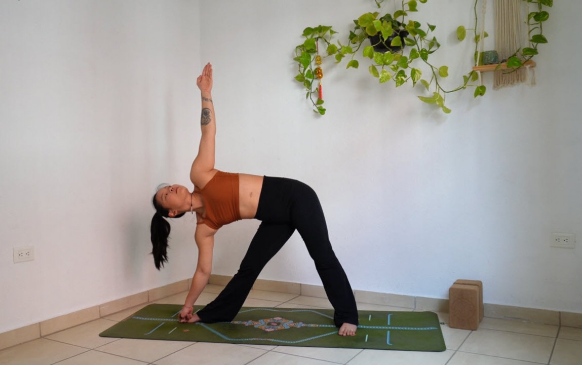 Ashtanga media primaria